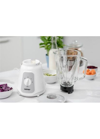 Блендер стационарный ZSB4707 Zelmer (314864000)