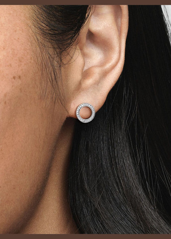 Срібні сережки No Brand (334305732)