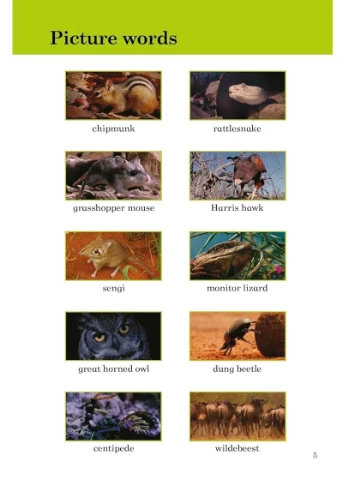 Readers Level 5. BBC Earth: Little Survivors Ladybird (370059813)