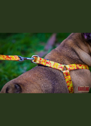 Поводок из нейлона с узором "MONEY" 20 мм 1800 мм Kareline (339075305)