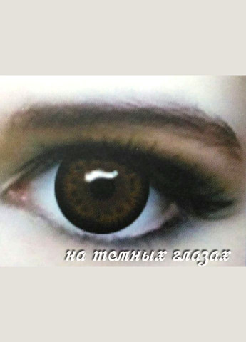 Кольорові лінзи «Лялькові карі» ELITE LENS (LN010) No Brand (326996425)