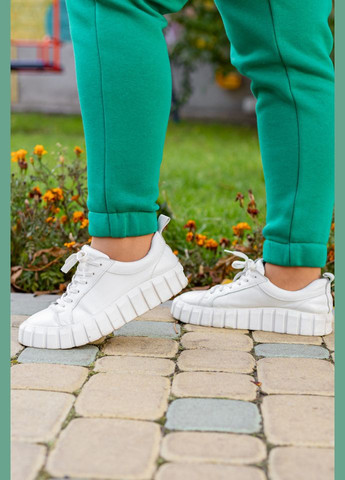 Костюм 131190-7 Alenka Plus (355341249)