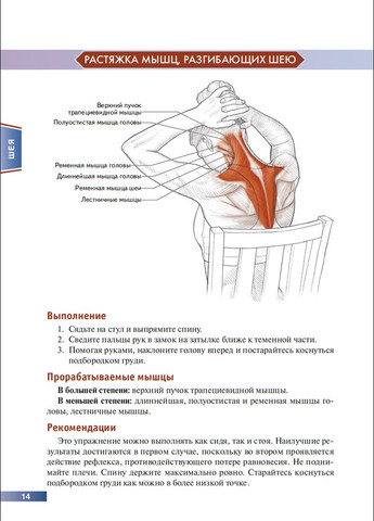 Анатомія вправ на розтяжку Арнольд Дракон (978-985-15-2981-6) No Brand (366970298)