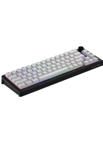 Клавиатура Skyfall 65 MAG ULTRA 8K Aurum Ice RGB USB UA Black/White (HTK1860UA) Hator (390926477)