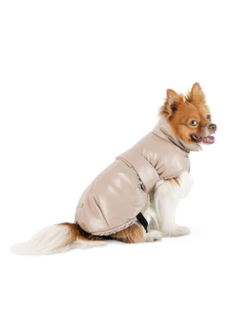 Попона Mikki для собак бежева М Pet Fashion (385167229)