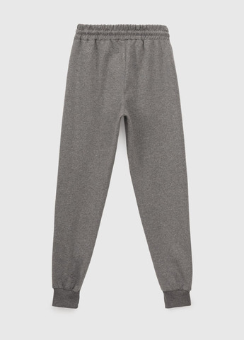 Серые спортивные демисезонные брюки Pitiki