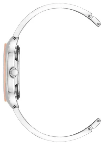 Жіночі наручні годинники Anne Klein AK/4041SVMV (322686833)