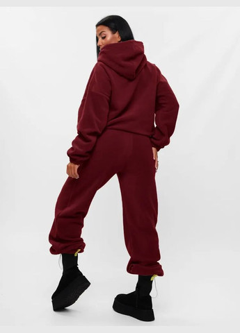 Бордовый демисезонный костюм 2-йка на флисе, очень тёплый качественный костюм с капюшоном,подойдет даже для очень холодных дней No Brand 1179-2 (308067155)