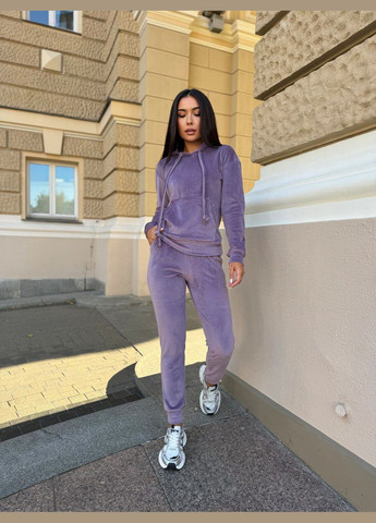 Спортивный велюровый костюм  LeVi (316466737)