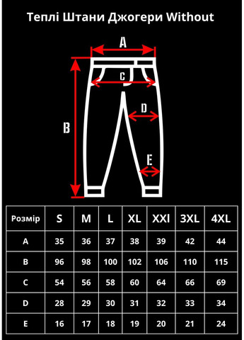Теплі Джогери Without Fleece (249170097)