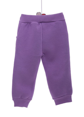 Фиолетовые демисезонные свободные штаны на флисе для девочки meow фиолетовые 104 см (44368) BABYKROHA