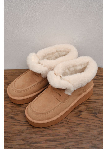 Жіночі зимові замшеві уггі рудого кольору з бежевою хутряною опушкою на комфортній підошві Stilli (363967409)