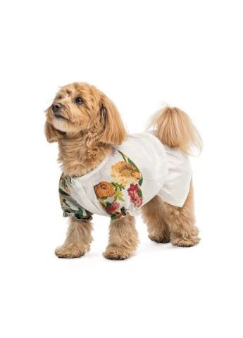 Сорочка Соломія для собак дівчинка біла XS2 Pet Fashion (380984793)