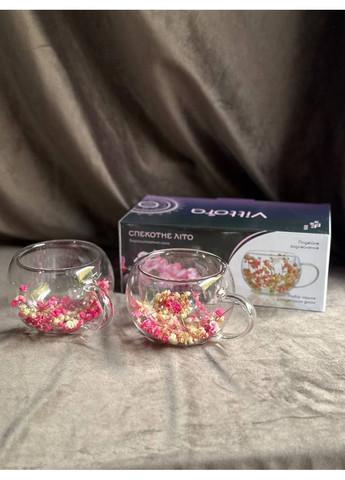 Набір чашок Спекотне літо з подвійним дном та сухоцвітами у стінках 2 шт 270 мл Прозорий VT-5327-270 Vittora (362711672)