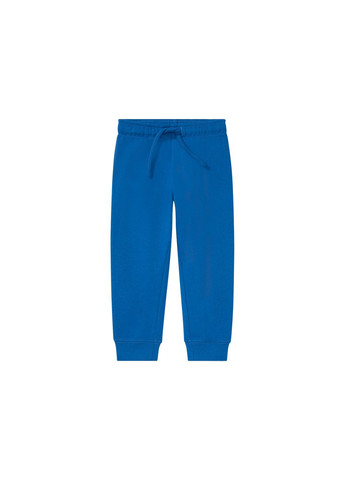 Спортивні штани джоггери бавовняні з начосом для хлопчика 370790 синій Lupilu (266554967)
