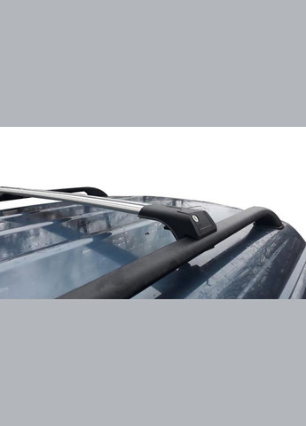 Багажник на крышу Chevrolet Captiva 2006 серый на рейлинги SkyV1-110-1086 Erkul (294301898)