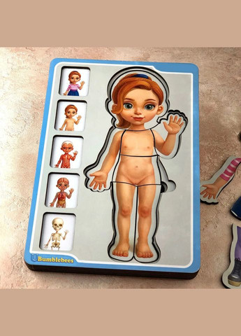 Деревянный пазлвкладыш "Анатомия человека – девочка" (ПСФ025) PSF025 телосложение Ubumblebees (303282209)