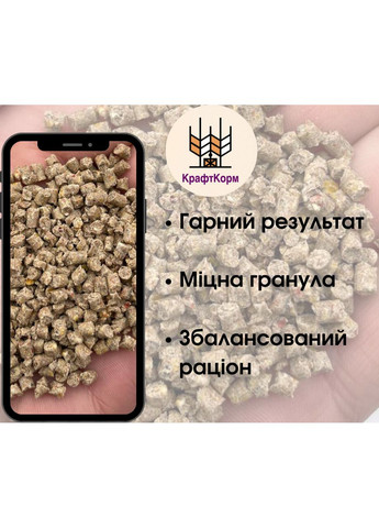 Комбикорм Старт для Бройлера 0-21 (10/25 кг) No Brand (364908857)