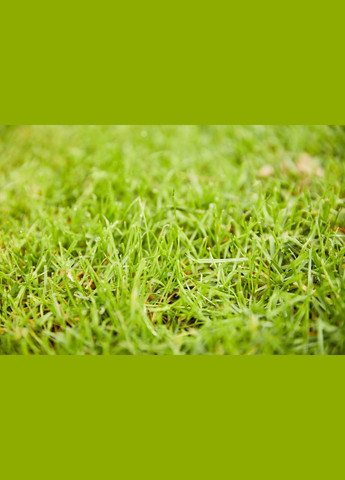 Тверде добриво тривалої дії для газонів 2кг (A014042) Compo (316259709)