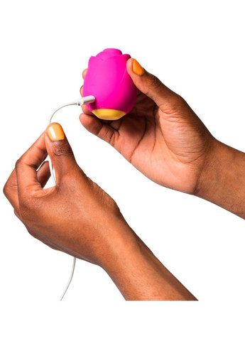 Вакуумний стимулятор для жінок Rose жіноче здоров'я інновації в інтимному житті Romp (370368707)