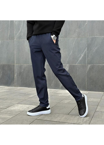 Синие повседневный демисезонные брюки Freedom