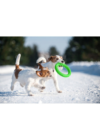 Кільце для апортування PitchDog діаметр 20 см (4823089302423) Collar (354701582)