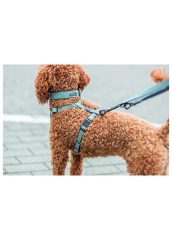 Шлей для собак CityStyle H-harness Хлопок S–M 42–60 см 15 мм Светло-зеленая (4053032682610) Trixie CityStyle H-harness Бавовна S–M 42–60 см 15 мм Сві (369362526)