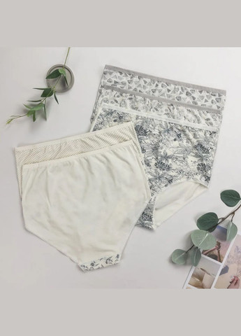 Трусики батал жіночі набором з 5 шт, мікс Nicoletta (322399681)