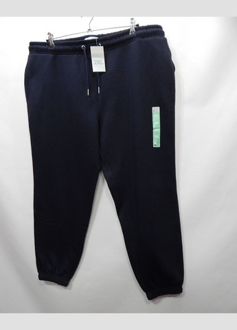 Штани спортивні чоловічі теплі Cares р.5052 008SPBMS Primark (315360034)