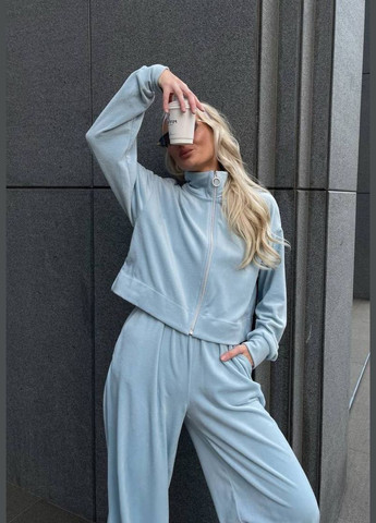 Женский велюровый костюм Osoblyva (346917983)