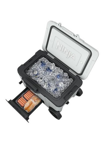 Термобокс FrostVault 42L Hard Coole (FB245EUWH) Ninja (332613713)