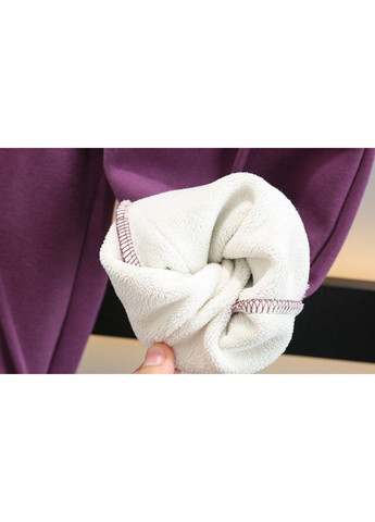 Дитячий утеплений спортивний костюм худі, штани No Brand (361012329)