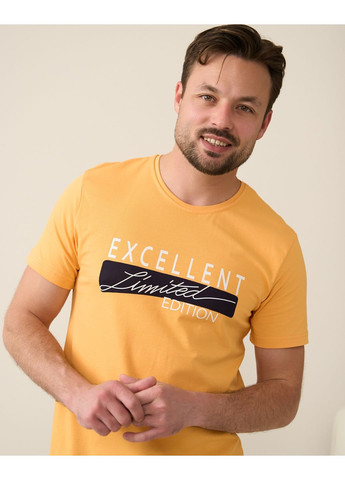 Чоловічий комплект із шортами в клітку Tom John (365720477)