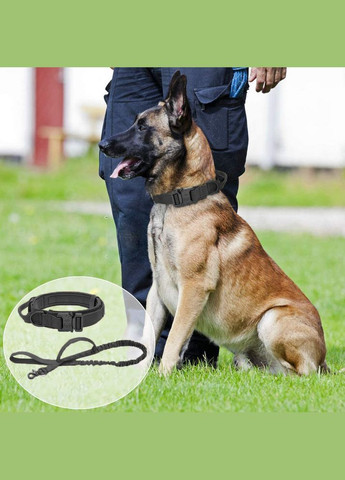 Ошейник с поводком для собак, нейлоновый с металлической пряжкой-фастекс, Черный L (45-55см) No Brand (299915521)