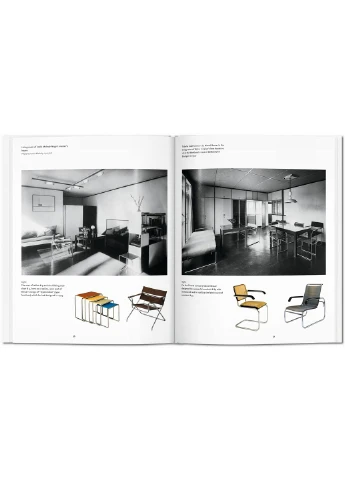 Книга Bauhaus (9783836560146) Taschen (364654349)