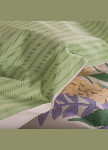 Постільна білизна ранфорс - 23224 євро Viluta (288045713)