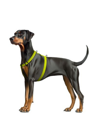 Шлея для собак Magnet анатомічна Н-подібна з QR-паспортом, магнітна пряжка-фастекс L лимонна (262426) WAUDOG Magnet анатомічна Н-подібна з QR-паспортом, магніт (366502611)