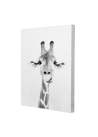 Набор постеров Низ-Верх (PS-123) 2 шт. Riviera Blanca (303135473)