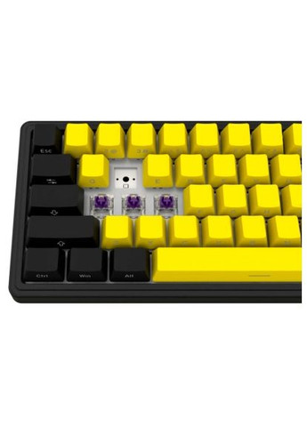 Клавиатура KBP70MW Pro RGB Wireless/Bluetooth/USB UA Black/Yellow (LRG-KBP70MW-YL-US) LORGAR KBP70MW Pro RGB Wireless/Bluetooth/USB UA Black/ye (364660355)