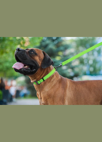 Повідець для собак водостійкий Waterproof Ш 25 мм Д 183 см Салатовий WAUDOG (279561411)