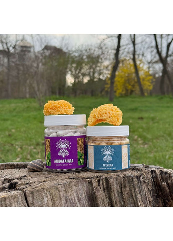 Курс Крепкий сон: Ашваганда и Тремела (2 месяца) Лісовик (334711227)