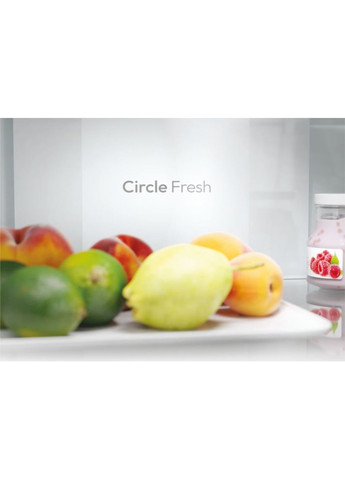 Холодильник ECN2CQTEX186 Candy (349821760)