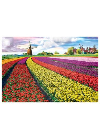 Пазл Поле тюльпанів у Нідерландах 1000 елемен (6000-5326) Eurographics Поле тюльпанов в Нидерландах 1000 элементов (366067393)