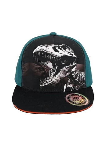 Кепка, арт. 63503-169500, T-Rex, 55-57 MaxiMo (393942104)