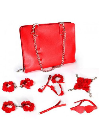 БДСМ набір з сумочкою для зберігання 6 предметів No Brand (303893207)