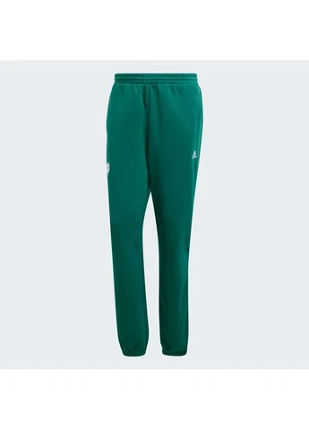 Зеленые демисезонные брюки adidas