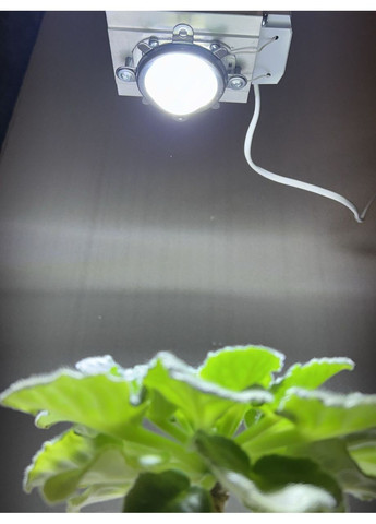 Фитолампа 50 Вт для роста растений с линзой 60 градусов, 40 000 К. Белый. No Brand (368704477)