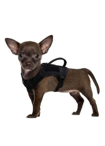 Шлея для котов и мелких собак, тактический жилет с ручкой (30-44 см) Черный Berry (299915348)