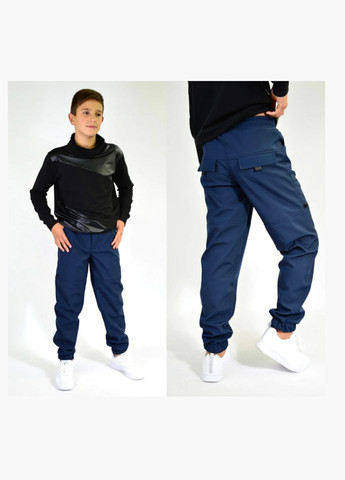 Штани джогери дитячі для хлопчика водонепроникні на флісі, софт-шелл Polin Line штани (299669963)