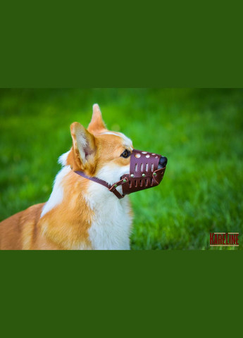 Намордник из натуральной кожи для малых и средних пород собак размер XL Kareline (339075303)